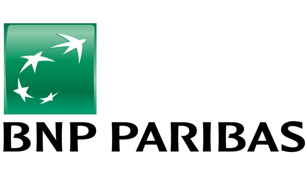 professional background bnp paribas